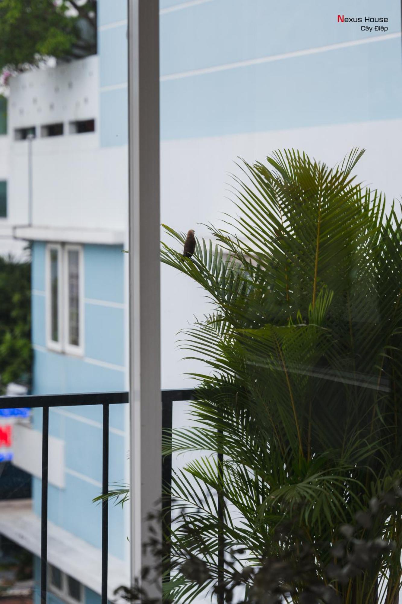 Nexus House Cay Diep TP. Hồ Chí Minh Ngoại thất bức ảnh